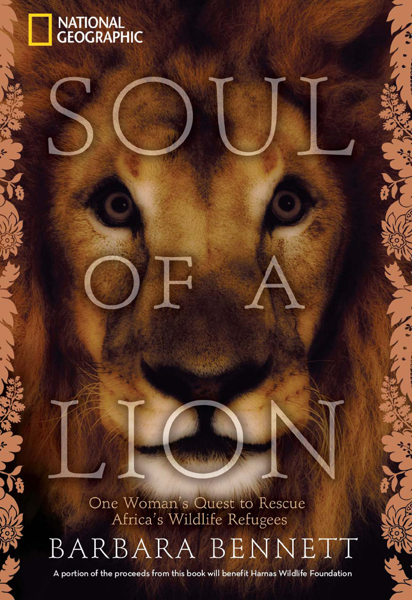 Soul of a Lion