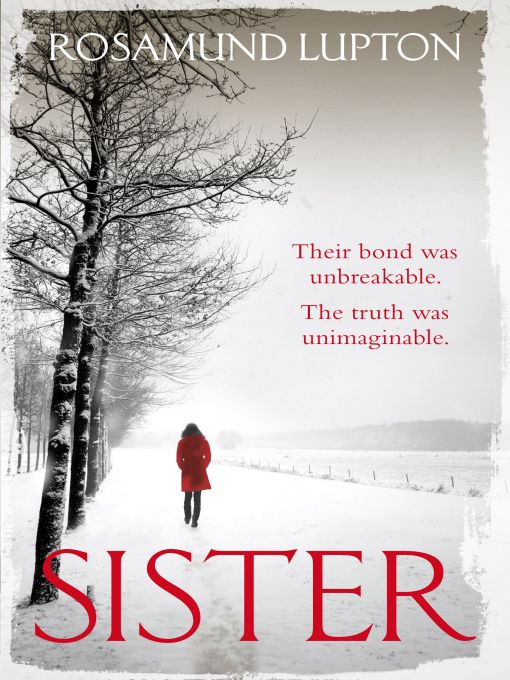 Sister a Novel (2010)