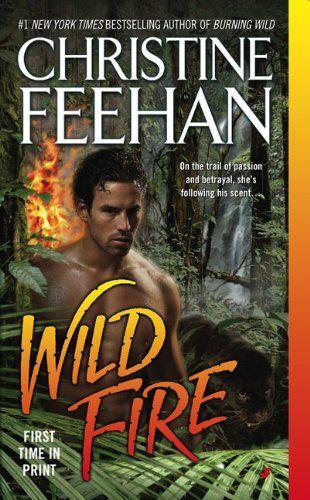 Wild Fire (2010)