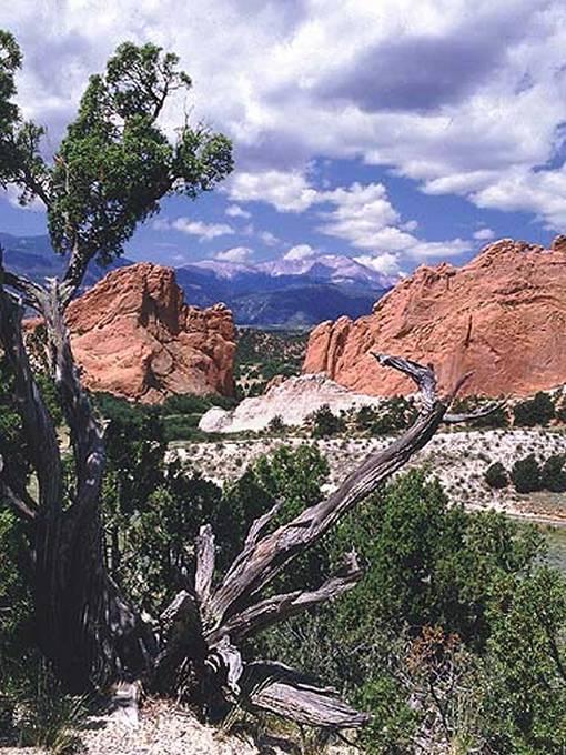 The Heritage of the Desert: A Novel