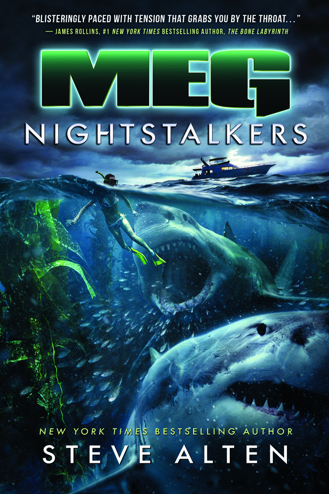 Nightstalkers