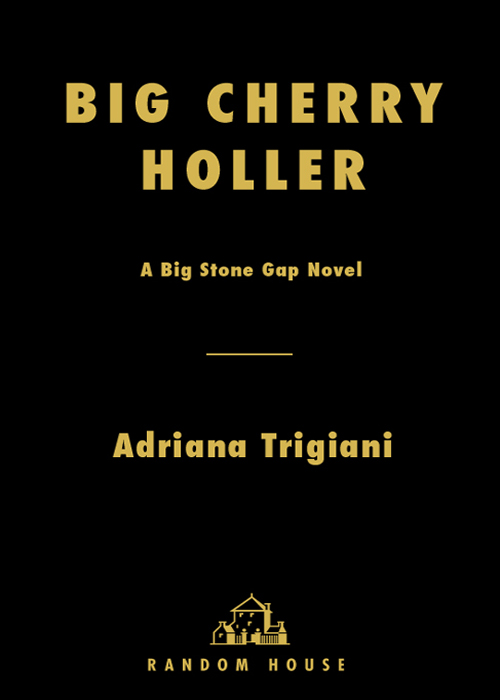 Big Cherry Holler