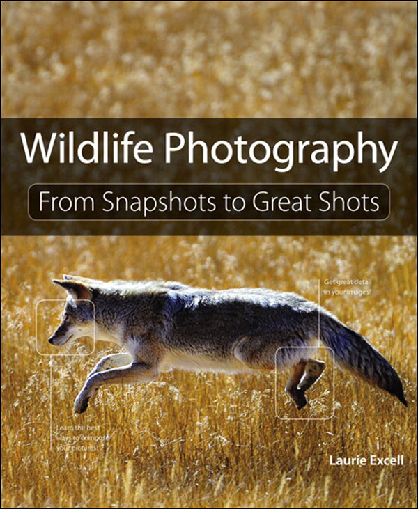Wildlife Photography: From Snapshots to Great Shots (Eva Spring's Library)