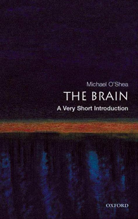The brain: a very short introduction