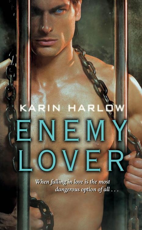Enemy Lover (2010)