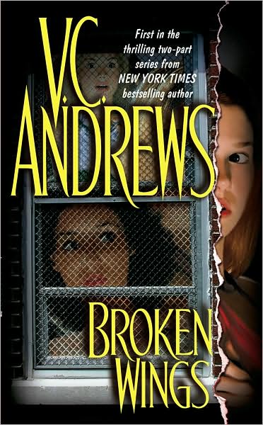 Broken Wings (Broken Wings #1)