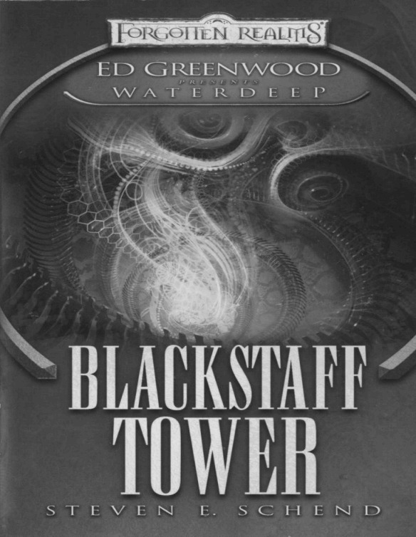 Waterdeep 01 - Blackstaff Tower