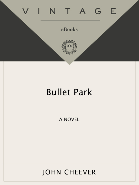 Bullet Park