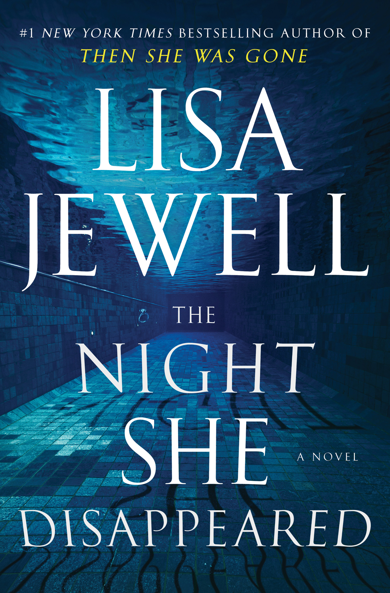The Night She Disappeared: A Novel