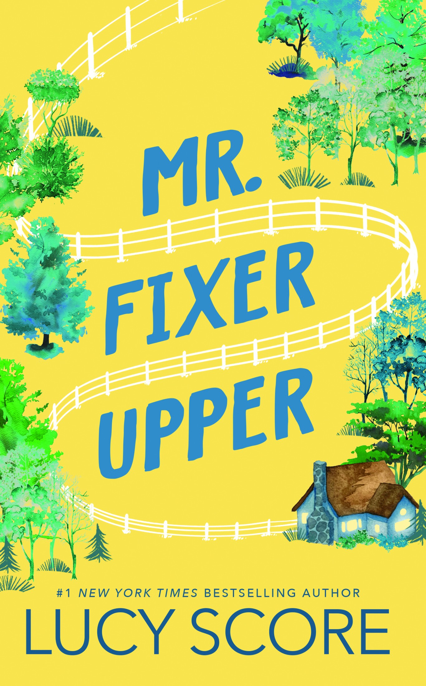 Mr. Fixer Upper