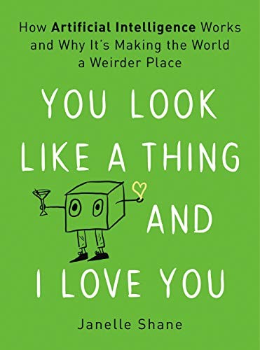 You Look Like a Thing and I Love You: How Artificial Intelligence Works and Why It's Making the World a Weirder Place