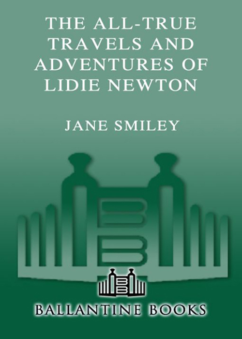 The All-True Travels and Adventures of Lidie Newton: A Novel