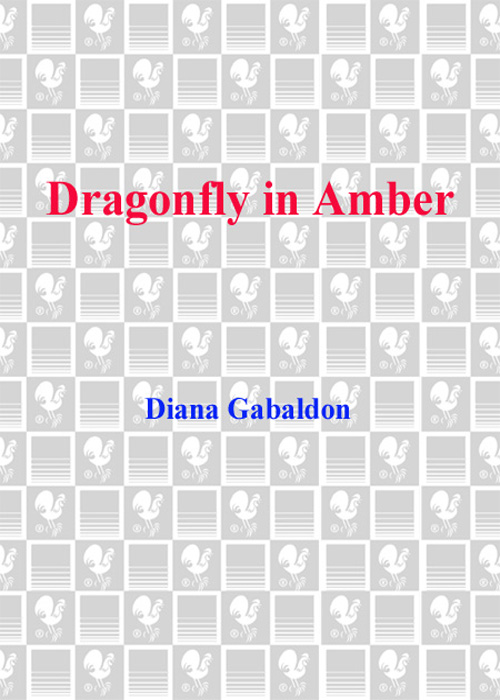 Dragonfly in Amber